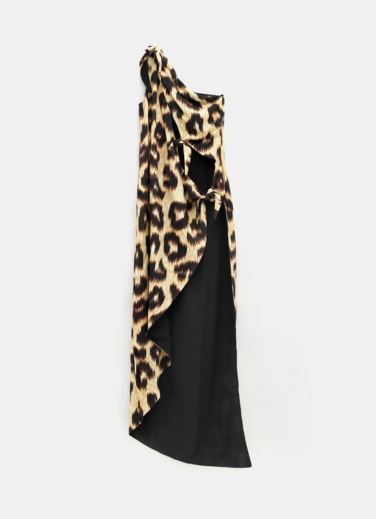 Leopard Print Maxi Dress