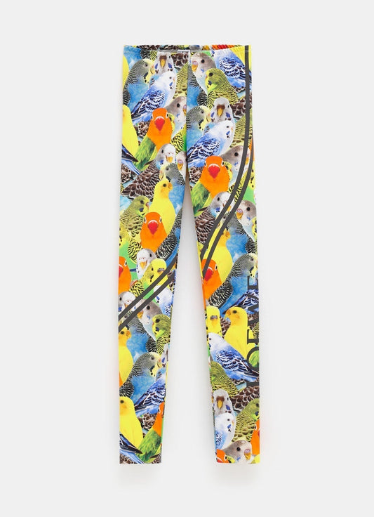 Parakeet Leggings