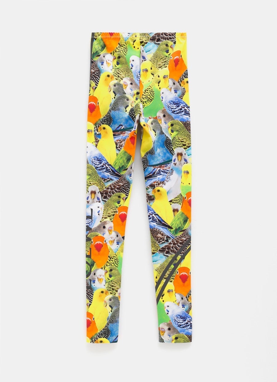 Parakeet Leggings