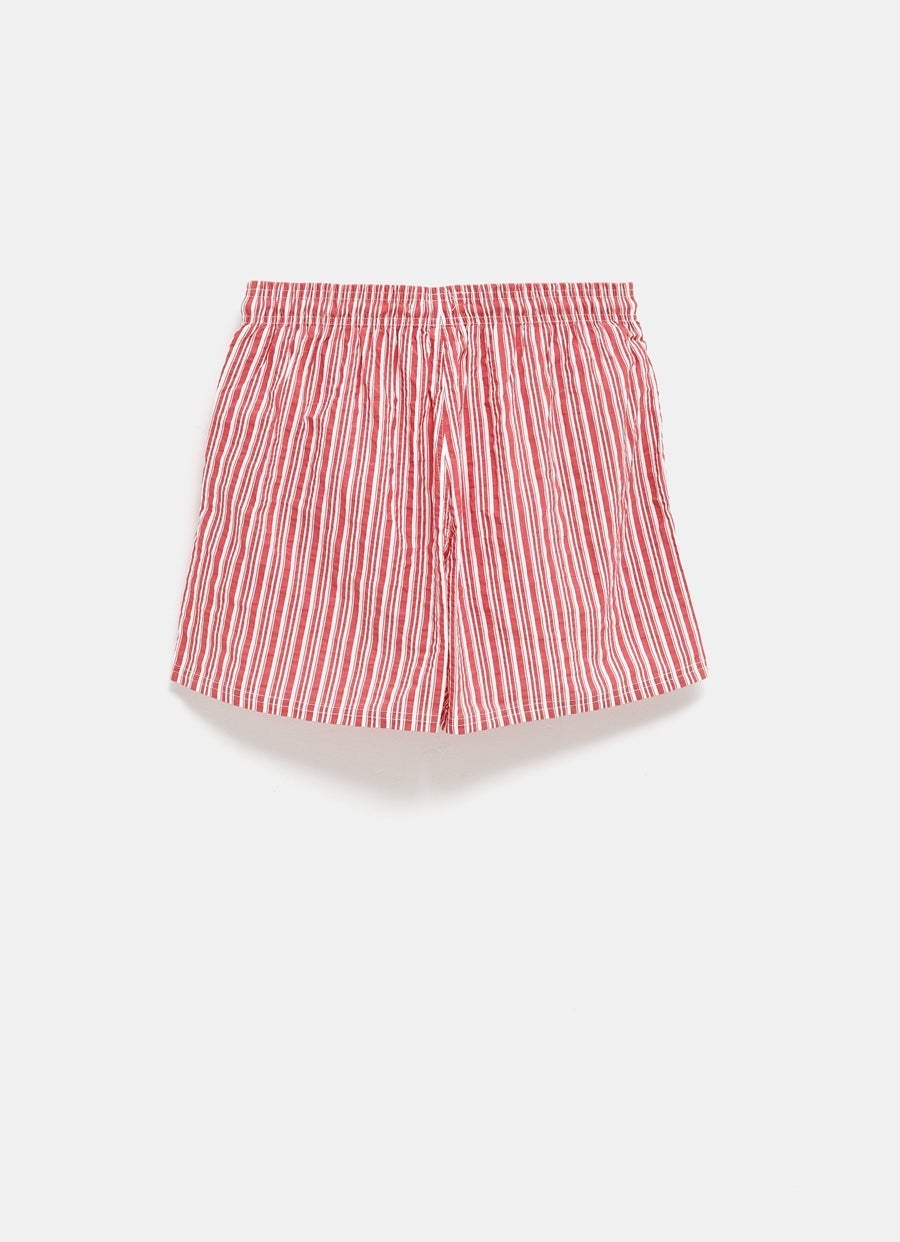 Striped Swim Shorts