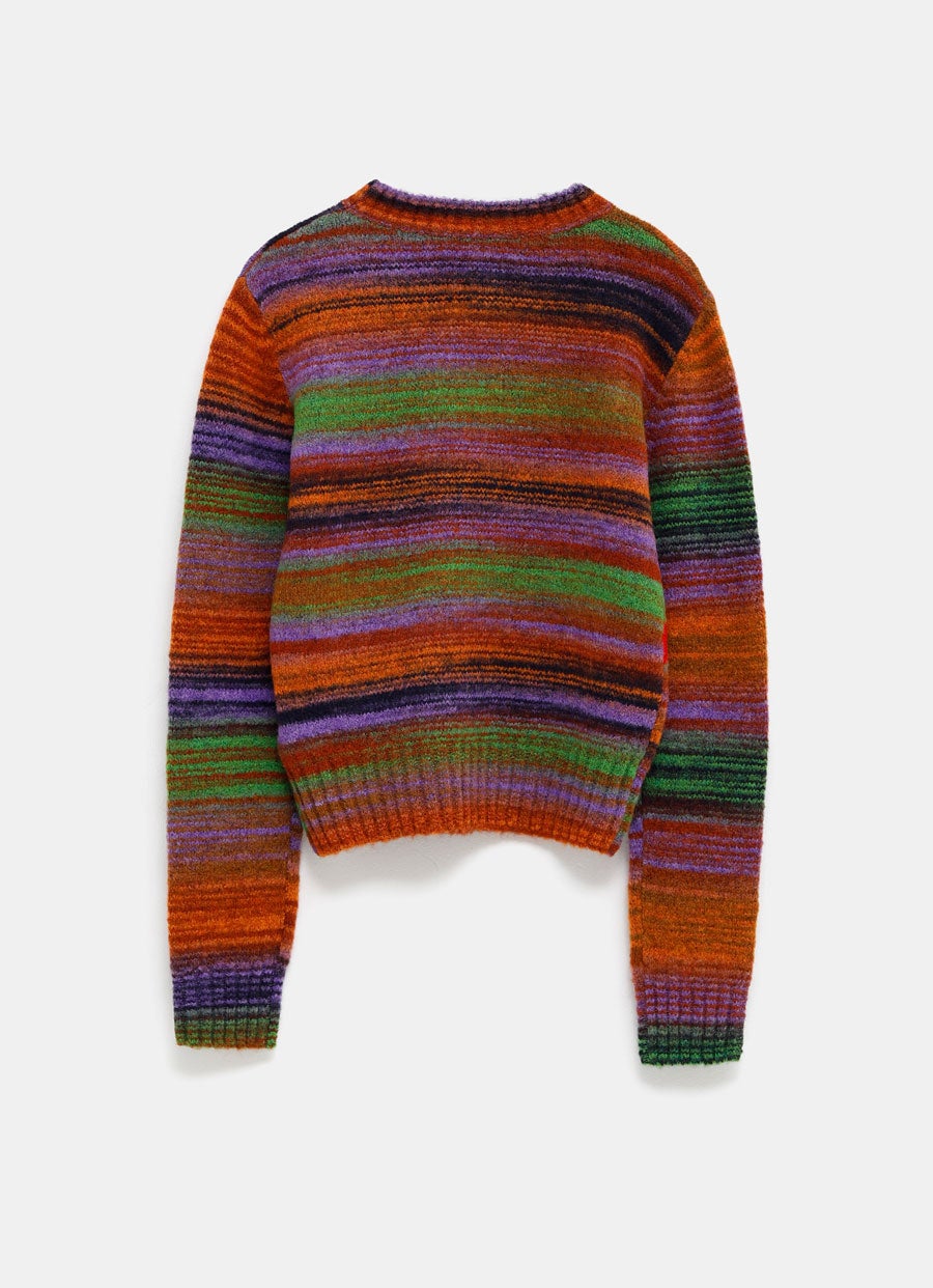 Sweater in Technical Wool Blend