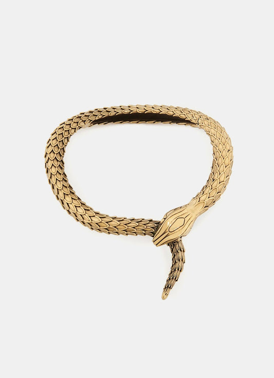 The Chloé Snake Necklace