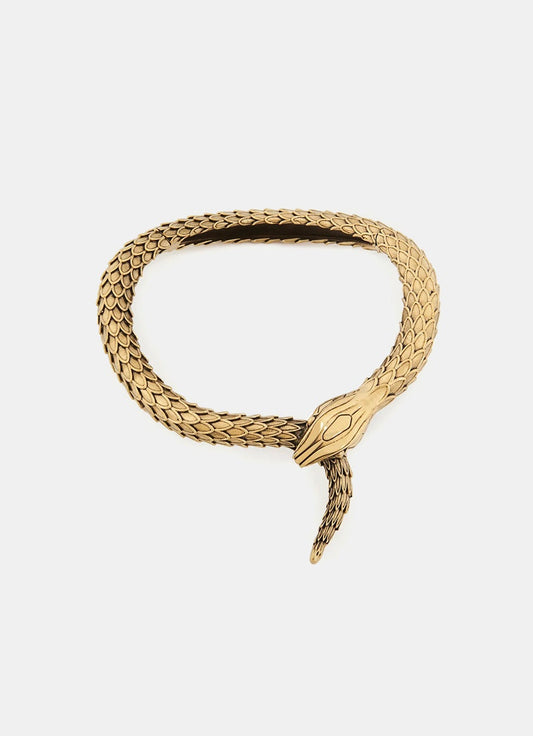 The Chloé Snake Necklace