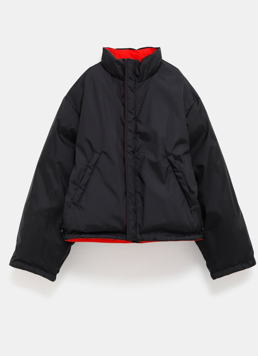 Reversible Puffer